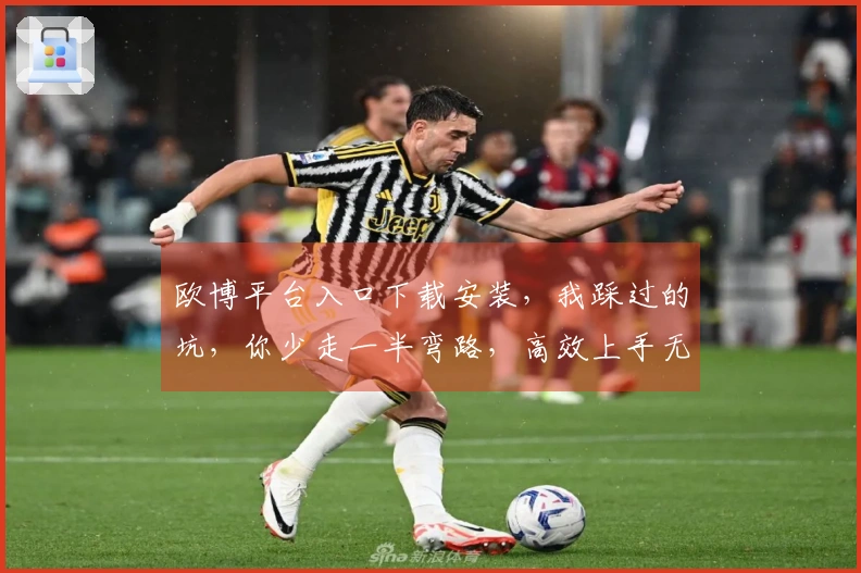 欧博平台入口下载安装，我踩过的坑，你少走一半弯路，高效上手无忧！